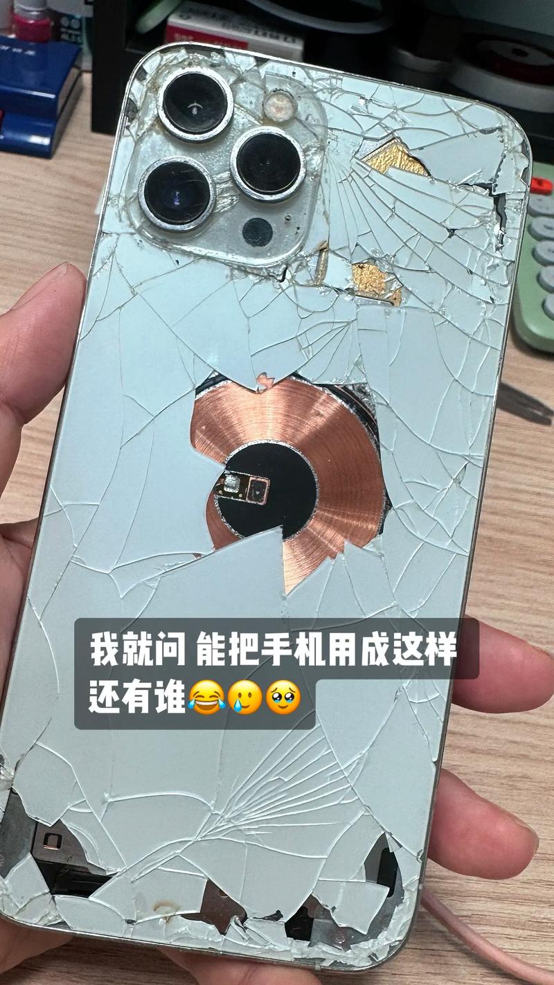 娱乐没有圈电视剧_娱乐圈节俭_娱乐没有圈主题曲