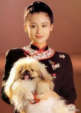 演艺圈天生富贵相女星_事业家庭双丰收明星_旺夫面相的女明星